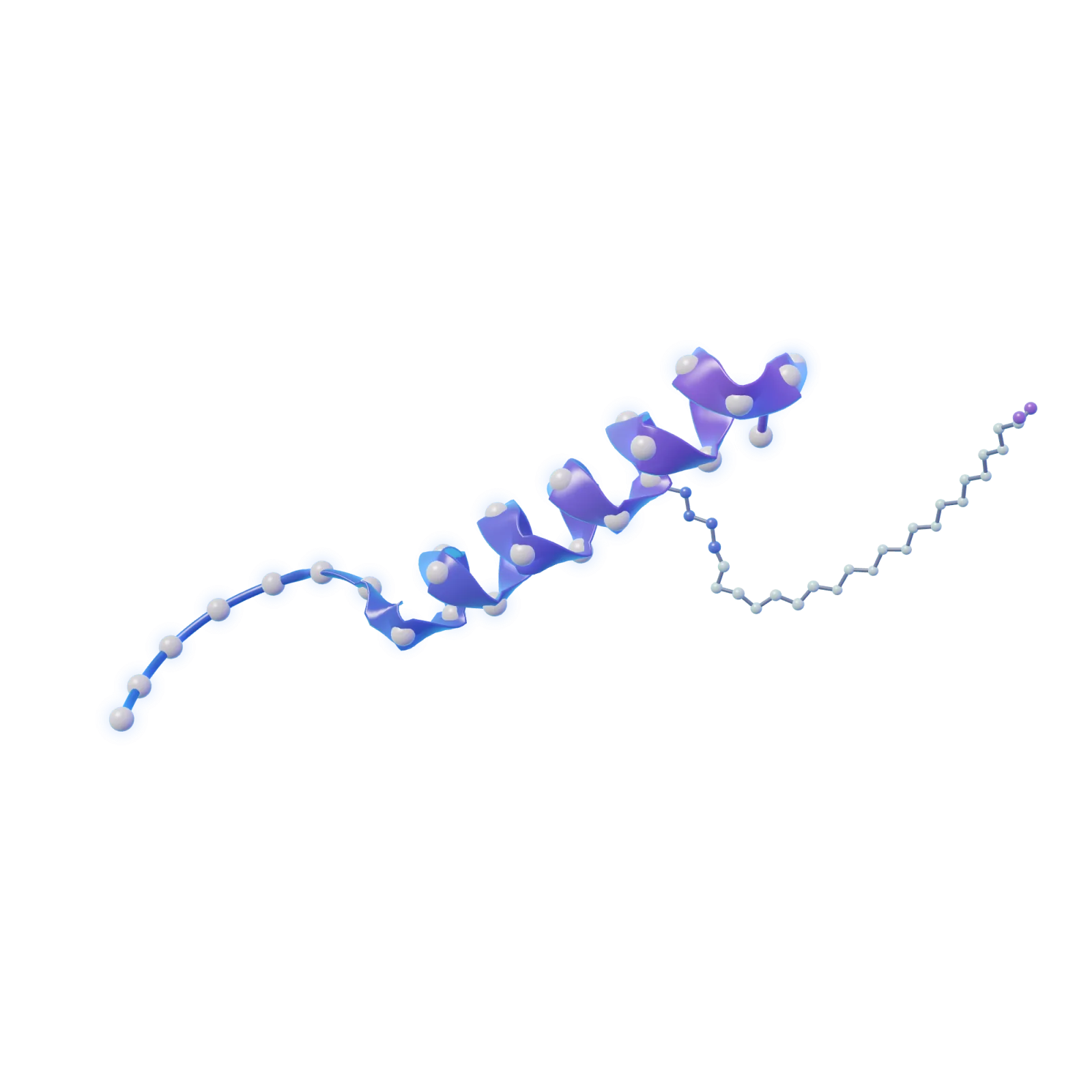 Illustration of a GLP-1 peptide: a chain of amino acids coiled into a helix, with a fatty-acid tail